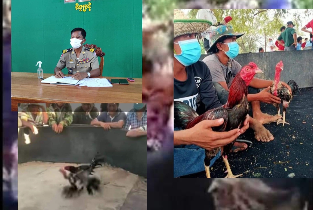 ព័ត៌មានរហ័សឈានមុខគេនៅកម្ពុជា